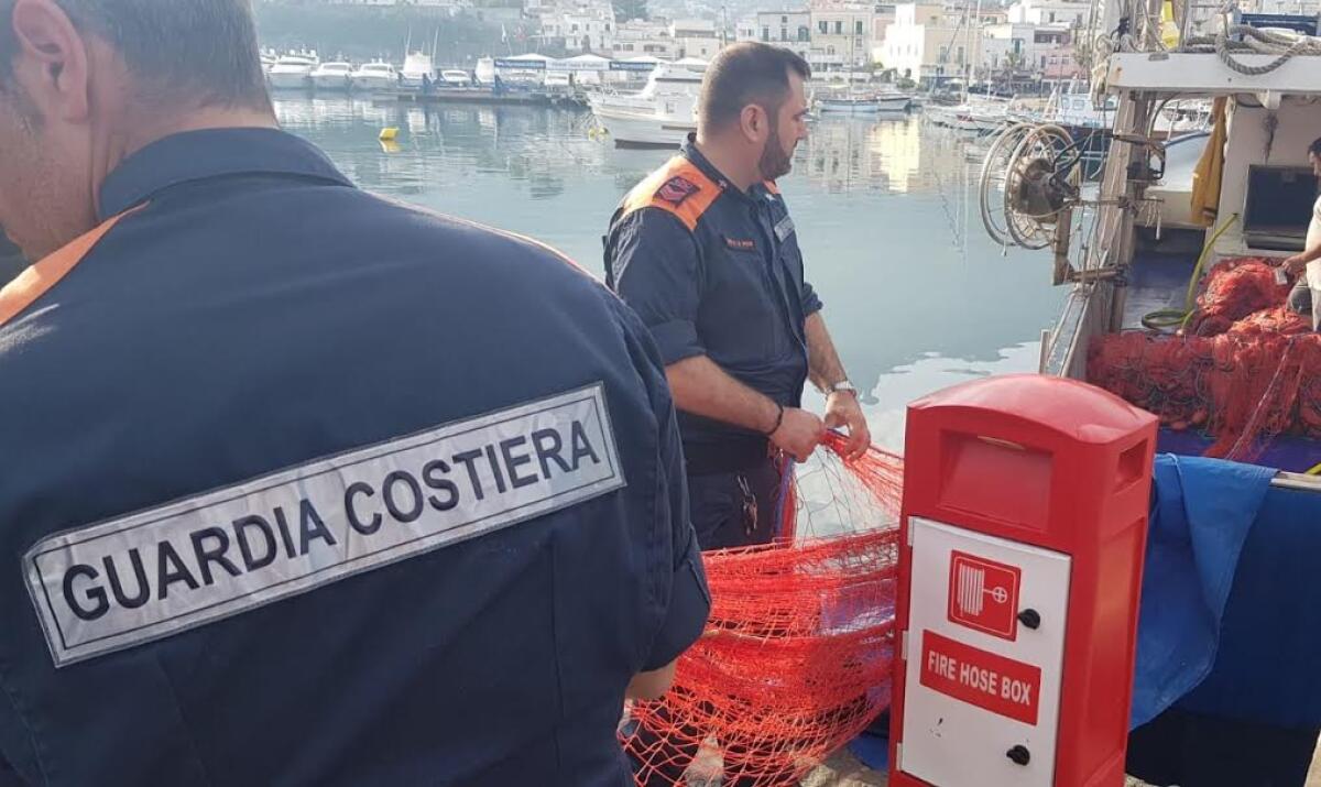 Pesca illegale, sequestrati 30 chili tra orate e branzini e 500 metri di rete - 