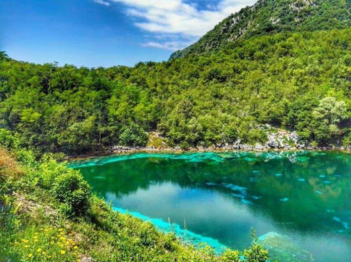 Alla Riserva Naturale Regionale di Cornino c’è “Griffonday” - 