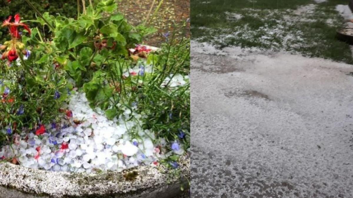 Tarvisio: violento temporale con grandine, strade e prati imbiancati - 