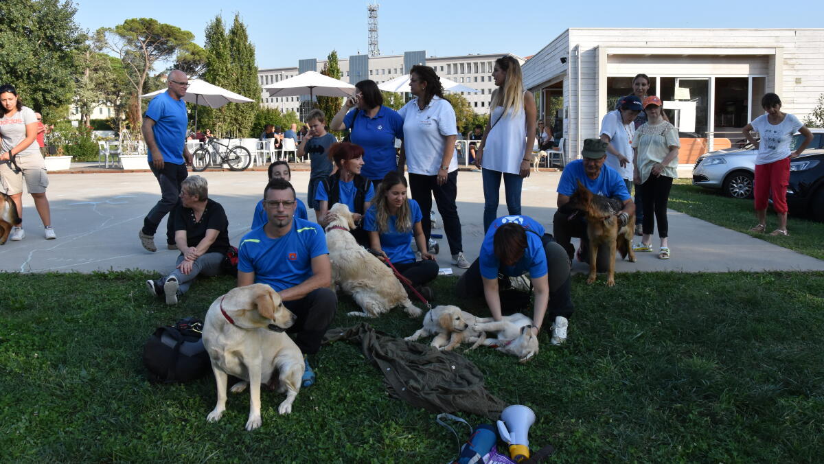 Udine: “Fedele per una vita”, esposizione cinofila in Piazza Primo Maggio - 