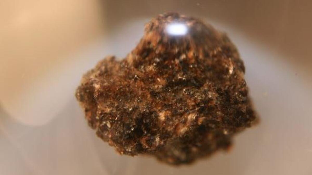 Ad Arta Terme in esposizione un frammento di luna - 