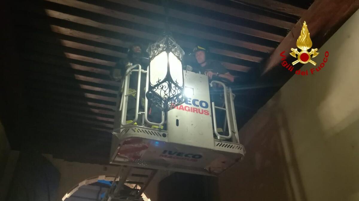 Piccione rimane incastrato nel lampadario dell' antico palazzo, lo liberano i pompieri - 