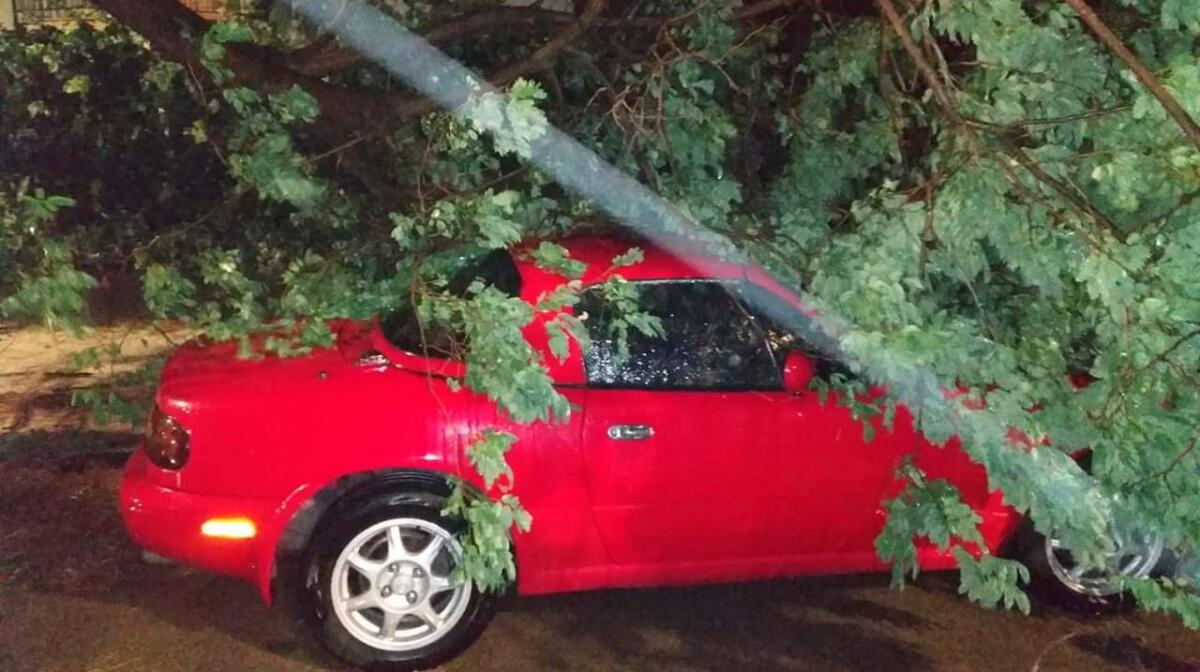 Bufera di vento e d'acqua sul Lido di Venezia, tanti danni - FOTO - 