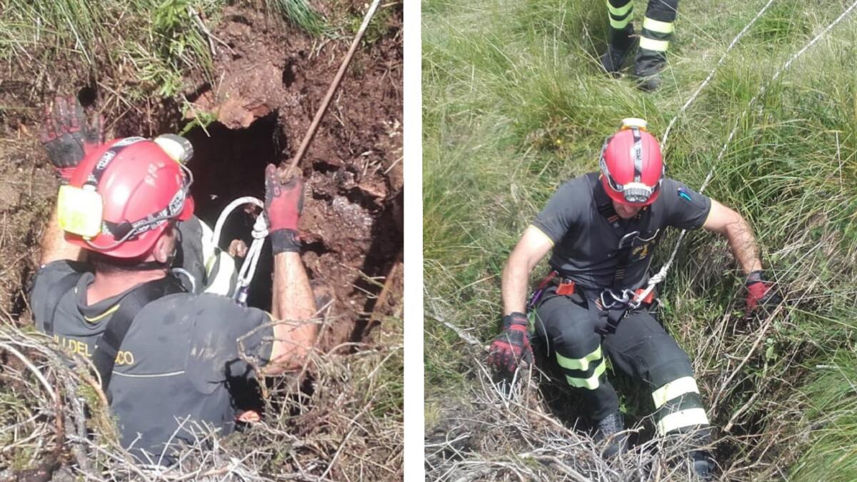 Capretta cade in una buca profonda 15 metri, salvata dai Vigili del Fuoco - 