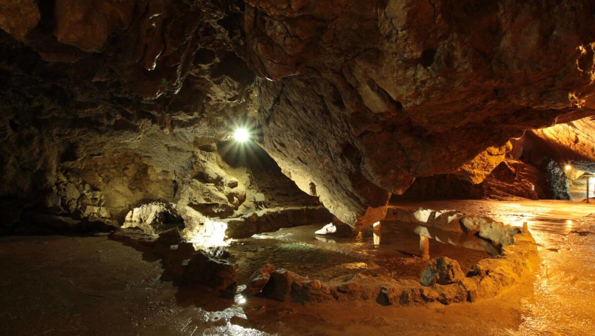 Alla Grotta Nuova di Villanova arriva lo speleo teatro - 