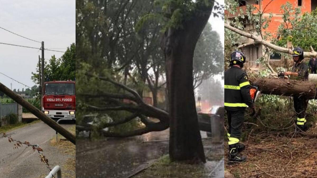 Maltempo nel Pordenonese: alberi e pali caduti, fulmine entra in una casa - 