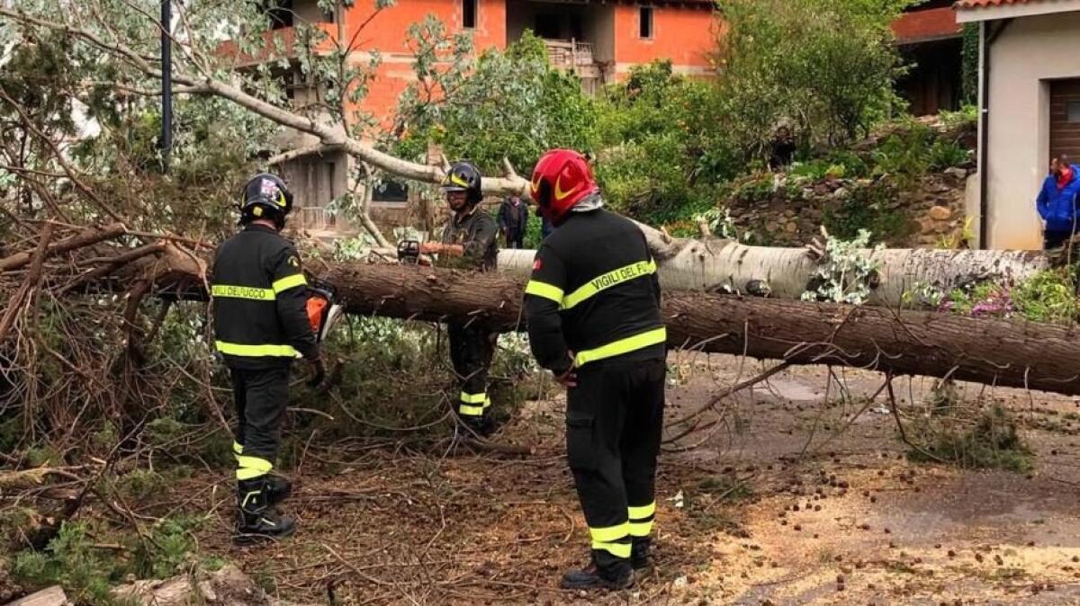 Maltempo: alberi caduti, danni e un tetto divelto - 