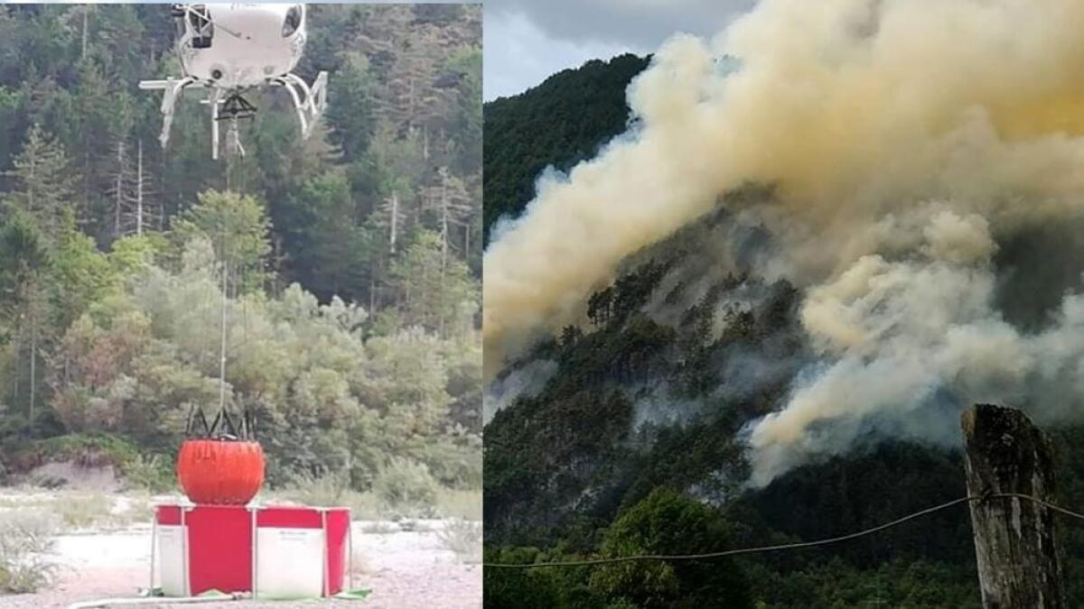 Incendio nei boschi di Cavazzo Carnico: proseguono le operazioni di bonifica - 