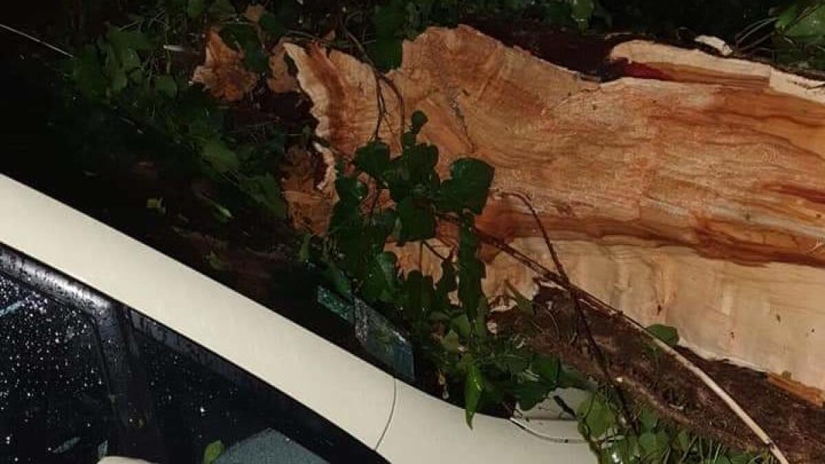 Sacile flagellata dal maltempo: proseguono gli interventi della Protezione Civile - 