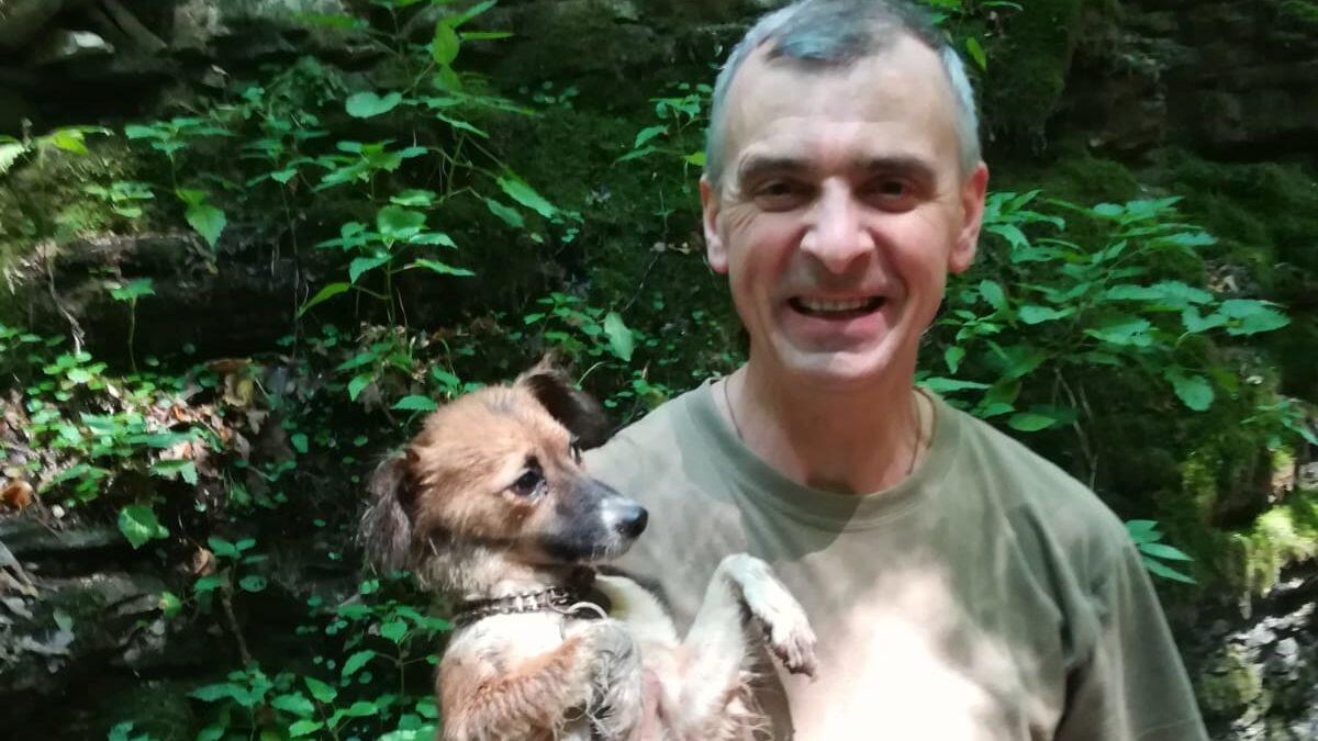 Cagnolina dispersa da una settimana, salvata in un canalone - 