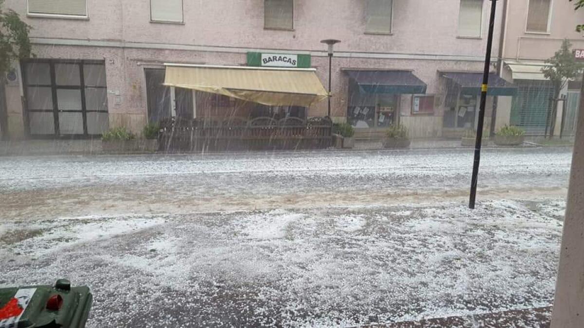 Il maltempo flagella Bolzano: grandine, alberi abbattuti e danni d'acqua - 