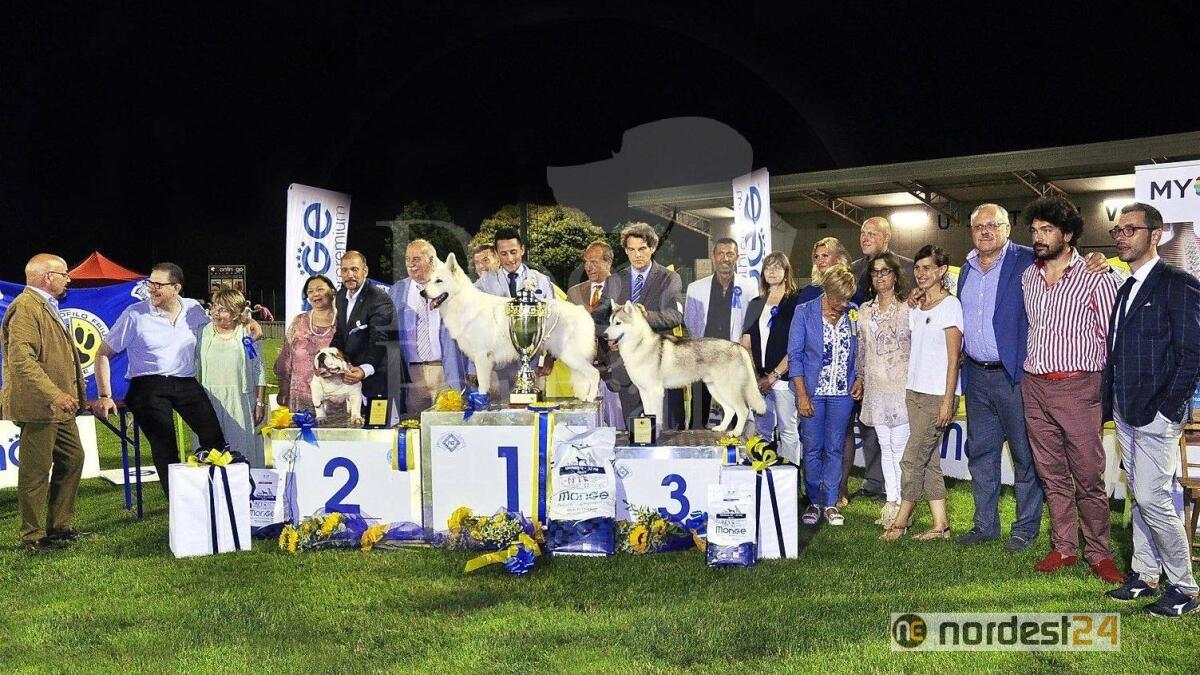 A Trivignano Udinese la 35° Esposizione Internazionale Canina di Udine, sabato 31 agosto - 