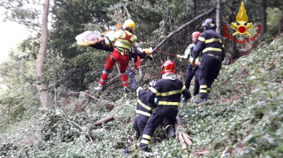 Boscaiolo travolto da un tronco, soccorsi difficoltosi: è grave - 