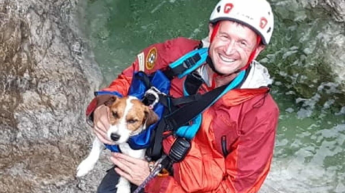 Ancora interventi sui monti: oggi salvato anche un  cane caduto dalla scarpata - 