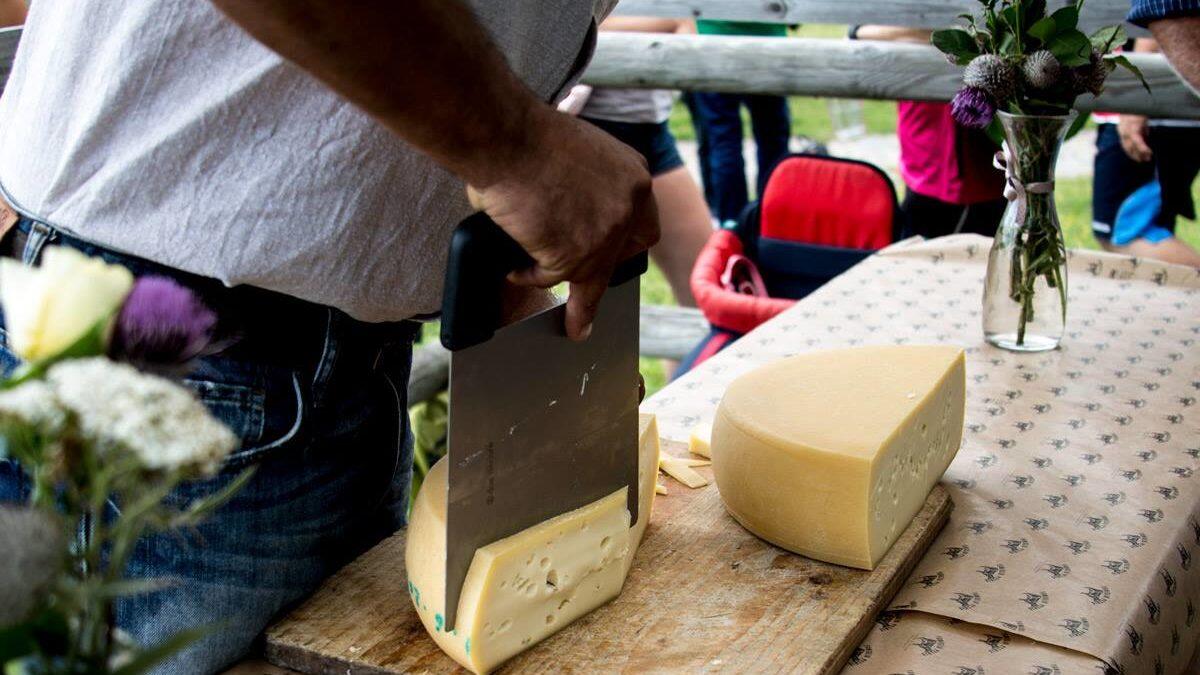 Lateis, Sauris: Festa del Formaggio di Malga e dei Frutti di Bosco - 