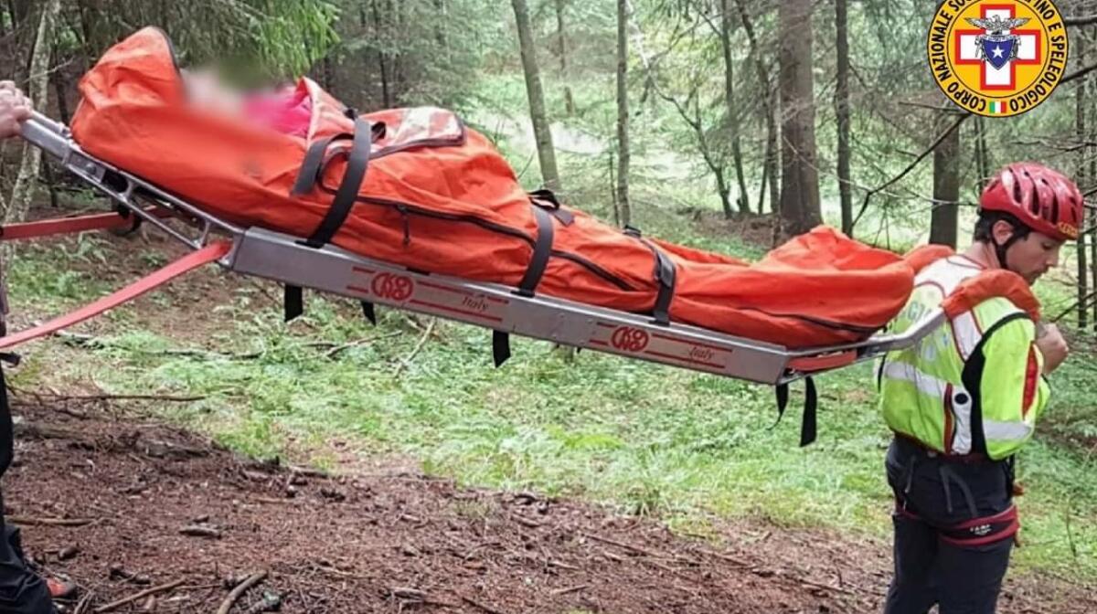 Cerca funghi ma cade nei boschi: 52enne di Udine recuperata con l'elicottero - 