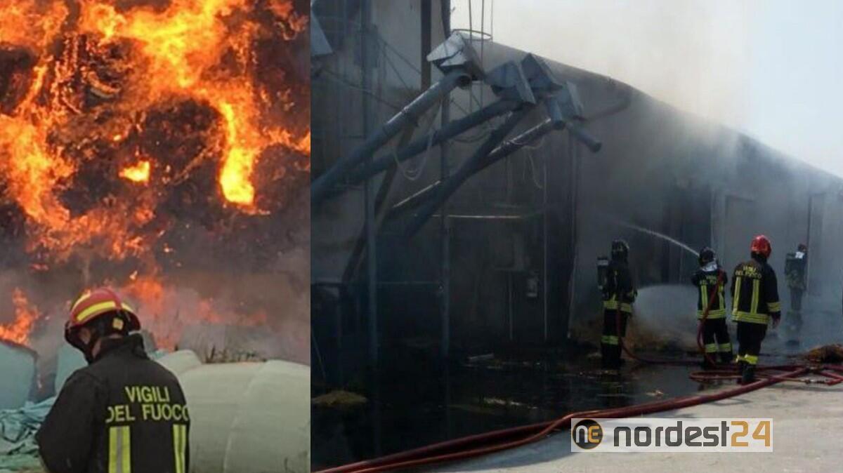 Dandolo di Maniago, maxi incendio distrugge 100 rotoballe, 4 silos e pannelli fotovoltaici - 