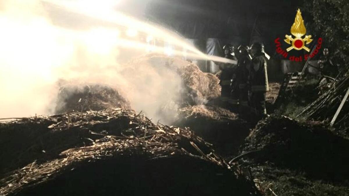 Incendio nella notte distrugge stock di foraggio - 