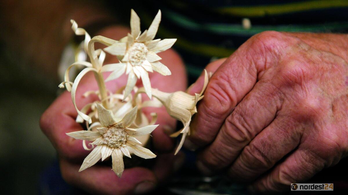 A Sutrio per riscoprire la “Magia del legno” - 