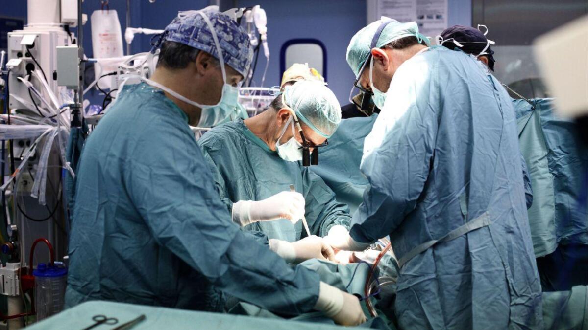 Pordenone, il cuoricino di Elsa batte nel petto di un altro bimbo - 