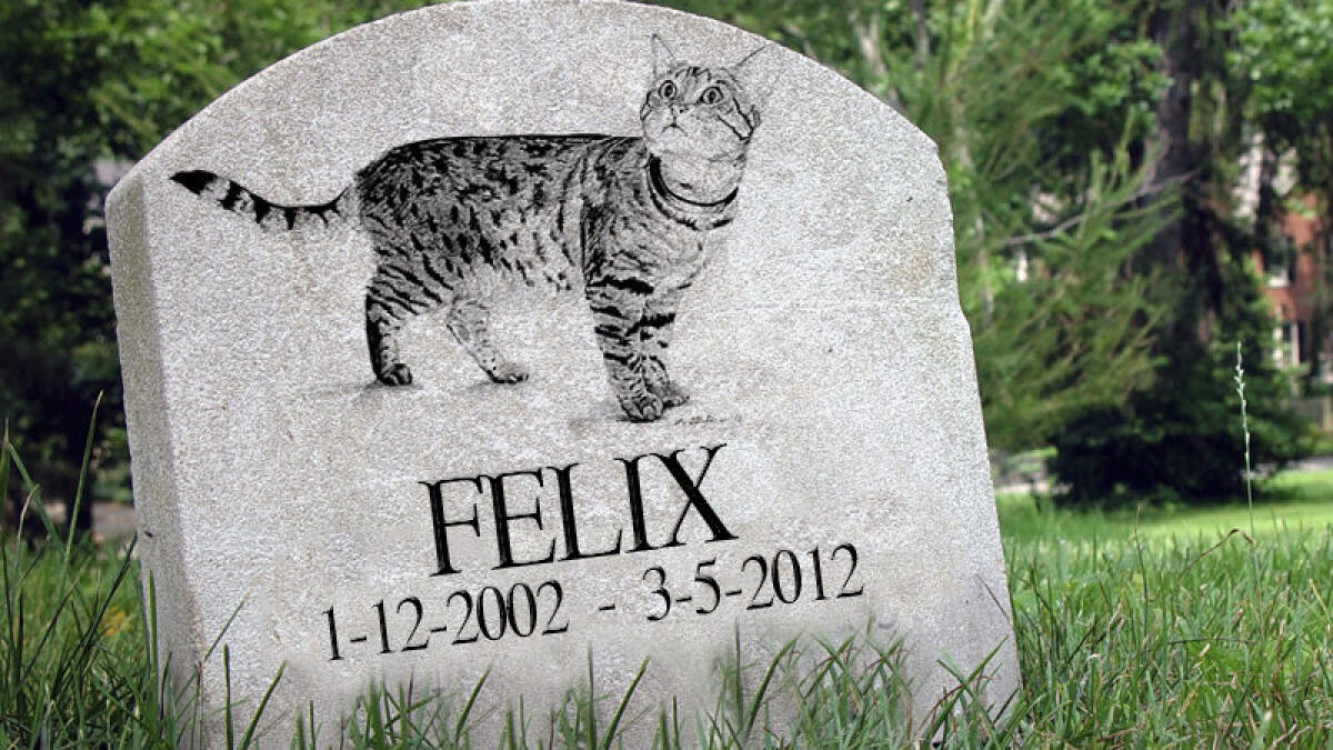 In Friuli via libera ai cimiteri per animali domestici - 