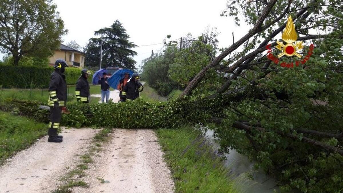 Maltempo tra Friuli e Veneto: allagamenti  e alberi abbattuti - 