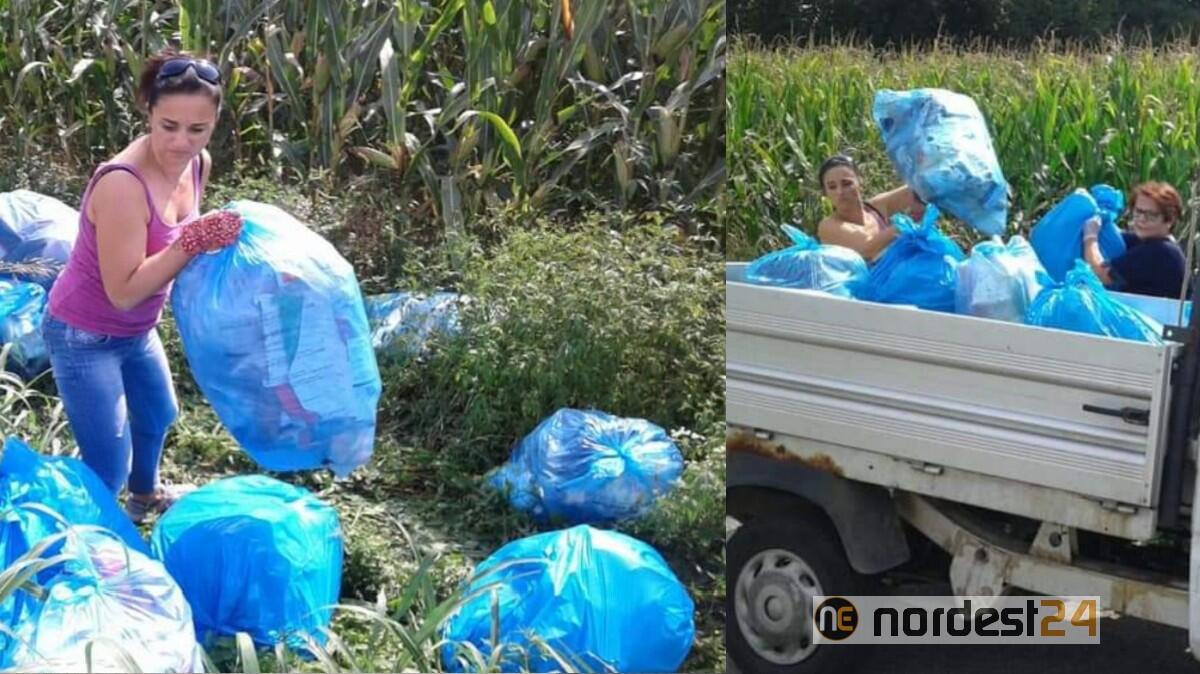 San Daniele, rifiuti abbandonati: assessori al lavoro per ripulire - 