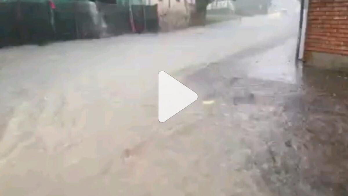 Maltempo in Friuli: forti temporali, allagamenti, alberi e rami caduti, danni d'acqua - 