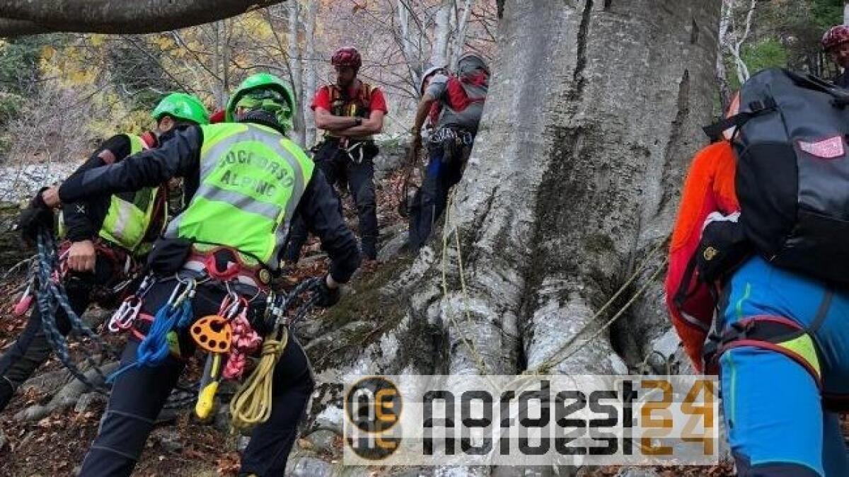 Sappada, 63enne nel dirupo andando a funghi: ritrovato e soccorso - 
