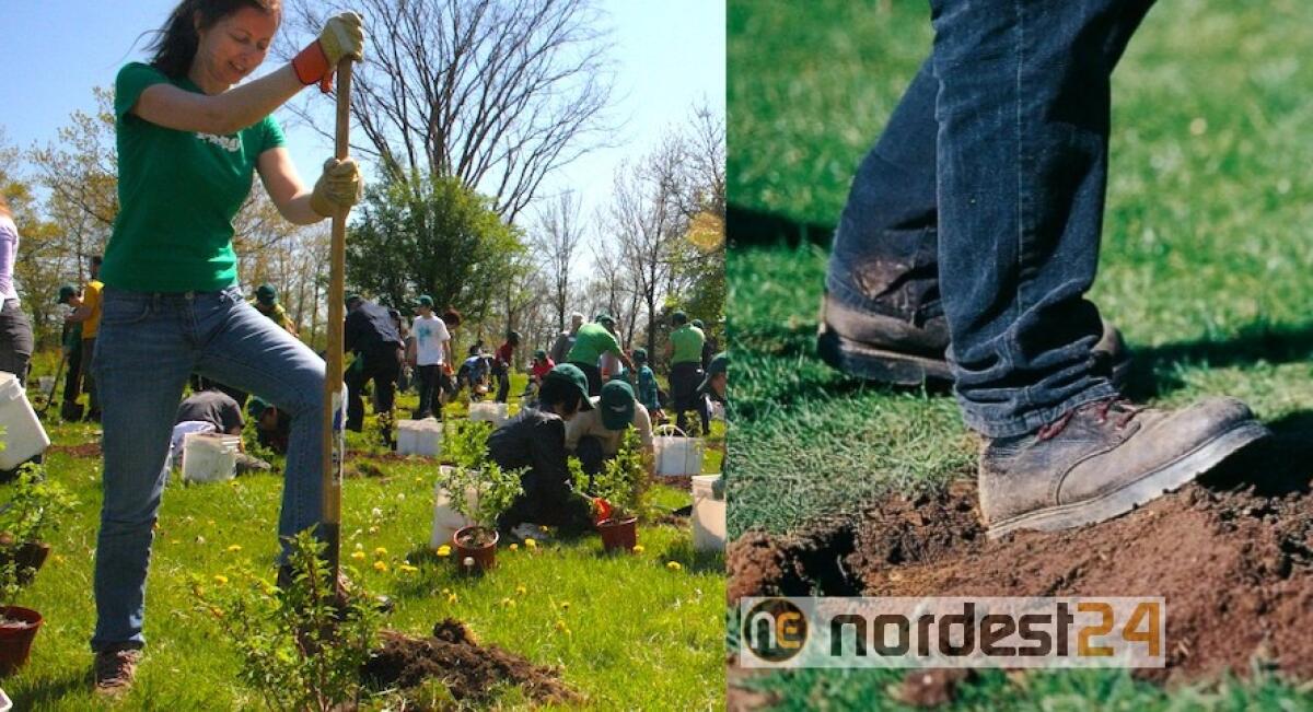Pordenone. Protesta alternativa: mattina a scuola e poi a piantare 500 alberi - 