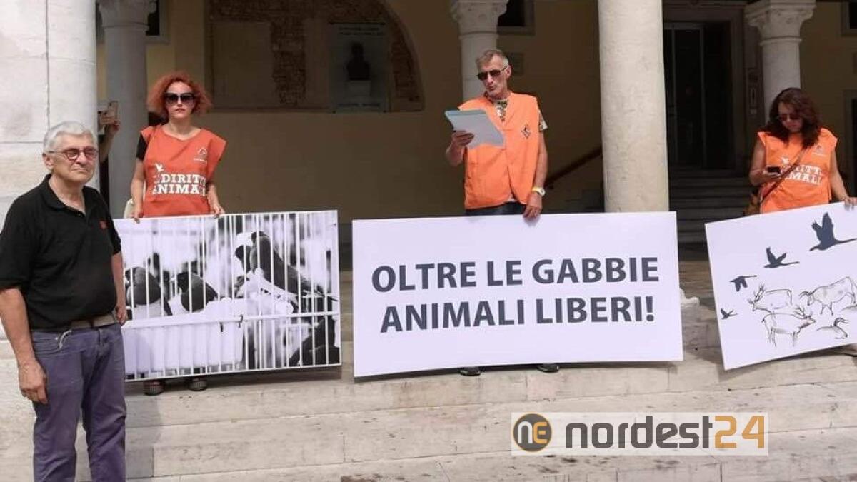 Sacile, sagra dei Osei, scatta la protesta: "non andateci" - 