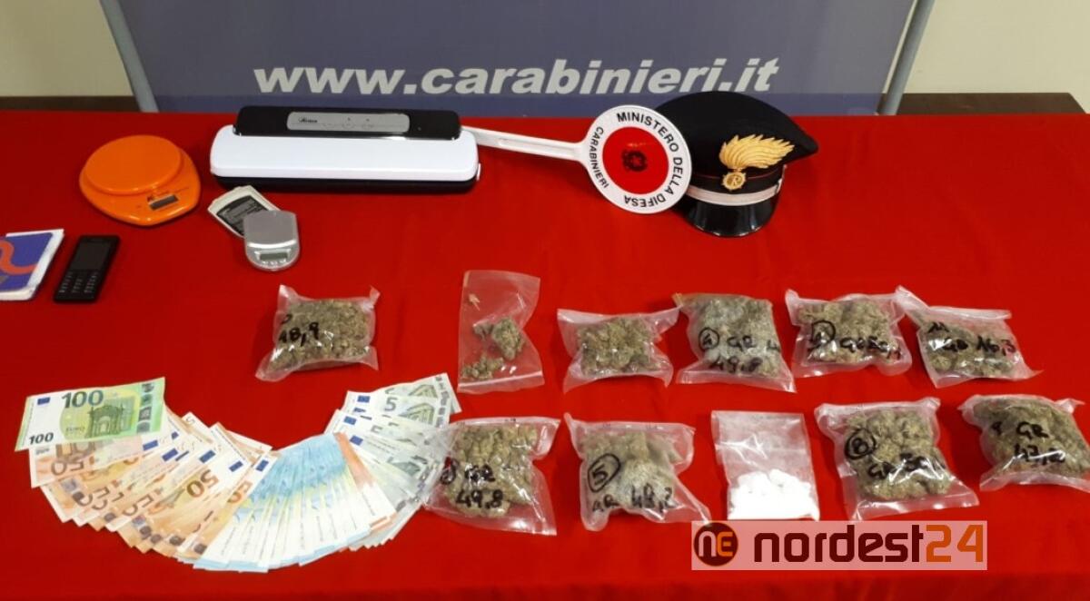 Udine, in casa il mercato delle droga: arrestati due 20enni e denunciata una minorenne - 