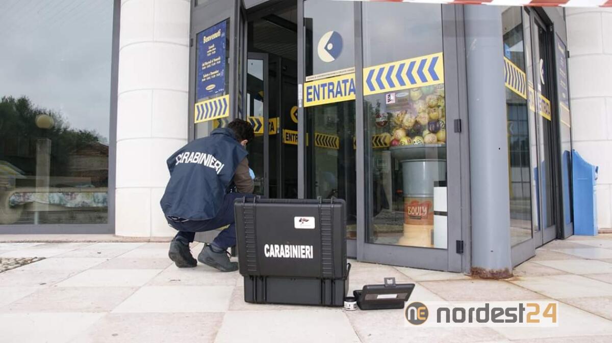 Sacile. I Carabinieri sventano il furto al Mercatone Uno - 
