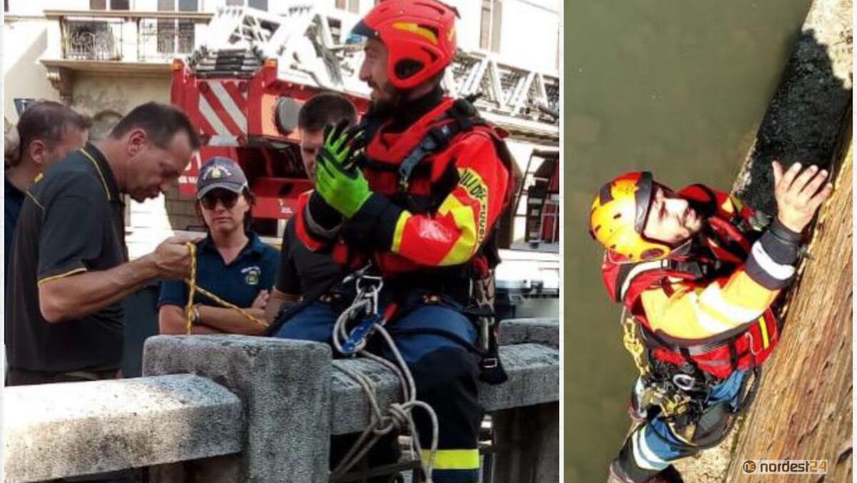 Due cassonetti dei rifiuti finiscono in acqua: li recuperano i vigili del fuoco - 