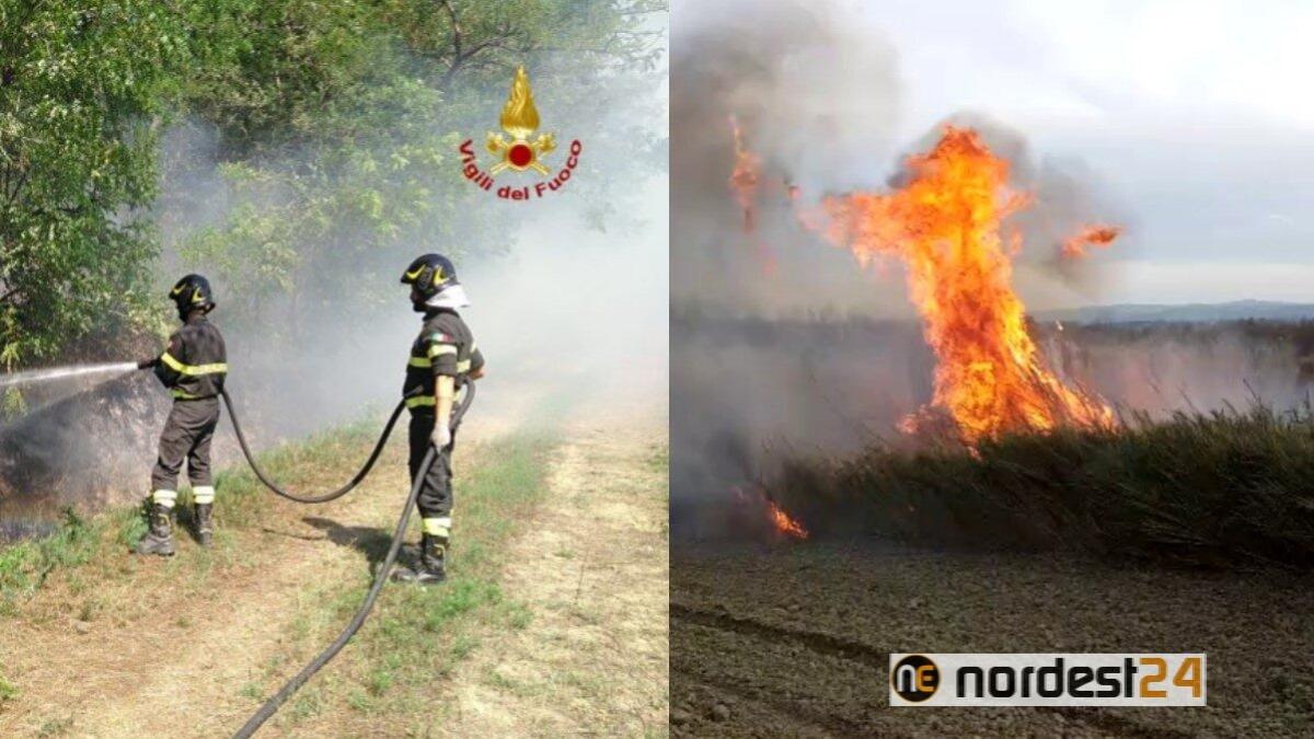 Udine, allarme incendi: piromane in azione - 