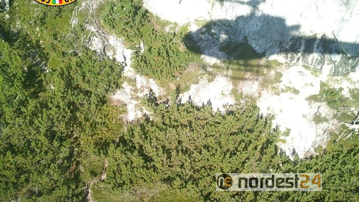 Sappada, terza giornata di ricerche: nessuna traccia del giovane di Spinea - 