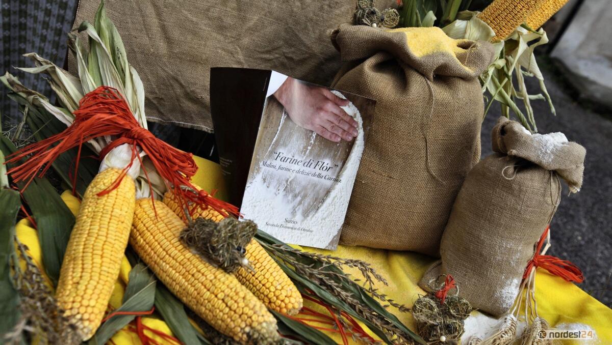 A Sutrio (Ud) "Farine di Flor": Farine e birre artigianali - 