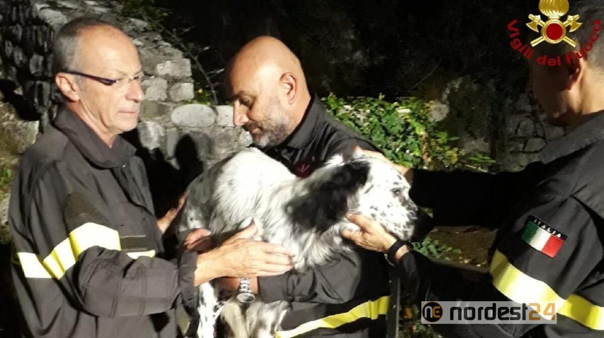Vito D'Asio. Scivola nel dirupo per 3 metri: cane salvato dai pompieri - 