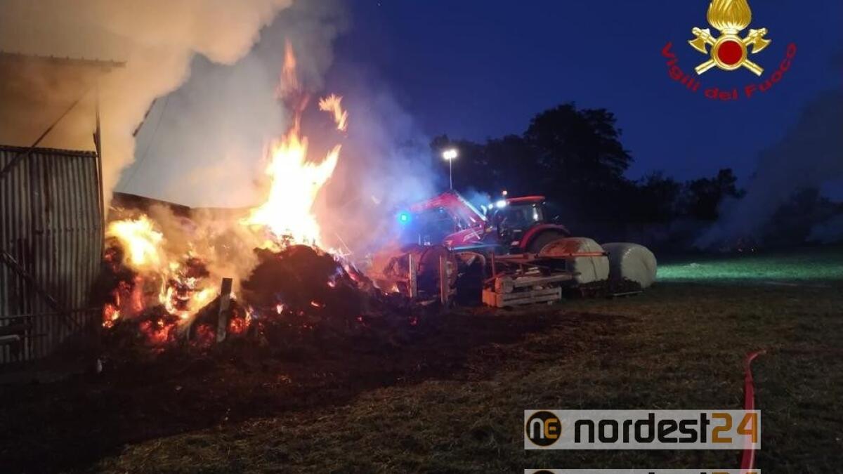 Incendio in una stalla, i Vigili del Fuoco salvano 10 bovini - 