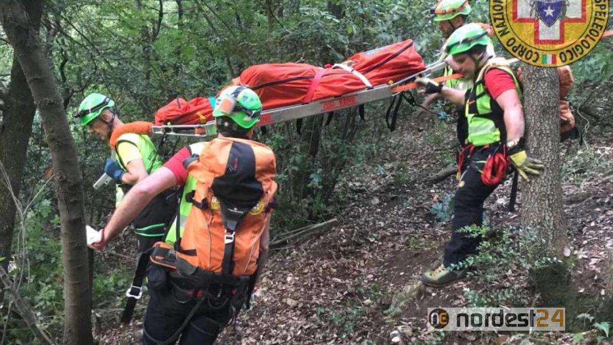 Paularo, colto da malore mentre lavora nel bosco: deceduto un uomo - 