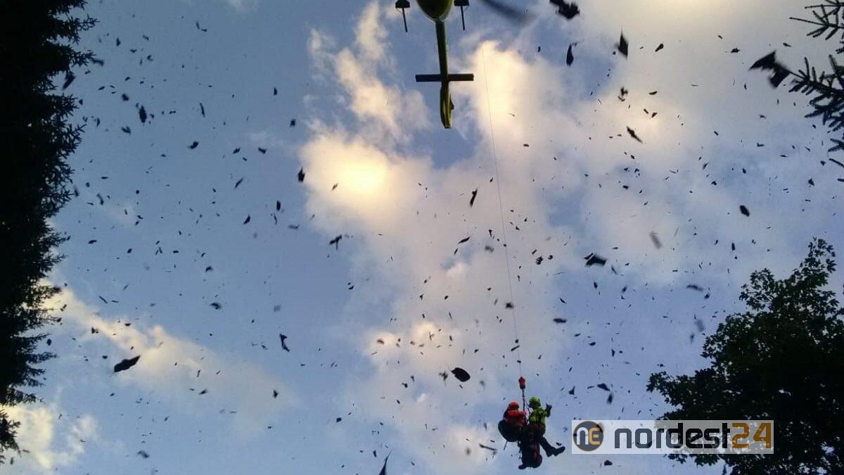 Alpi Carniche, scompare dalla baita: ritrovata dai soccorritori dopo una caduta - 