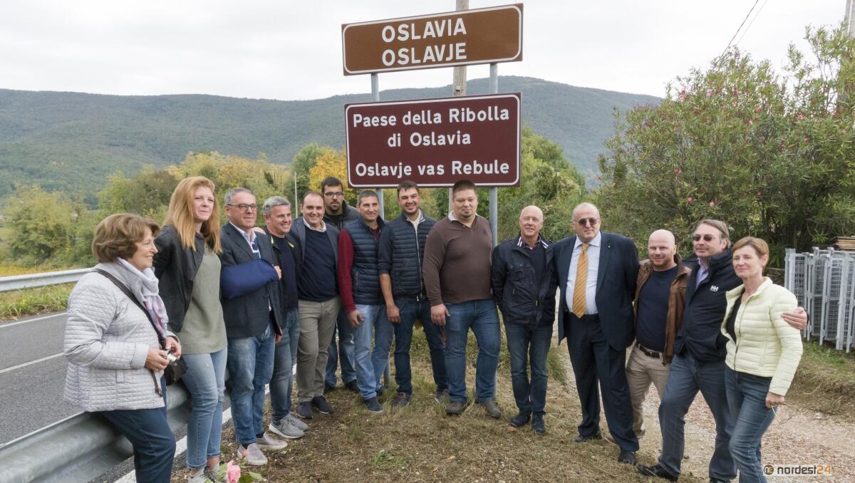 RibolliAMO 2019: laboratori, partnership e potenzialità della Ribolla di Oslavia - 