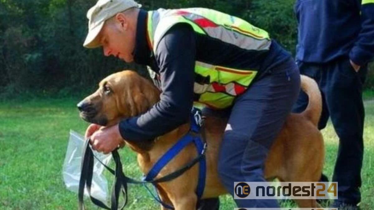 Claut, il fiuto dei cani ha salvato Pierina da morte certa - 
