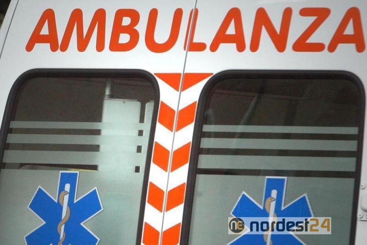 Donna investita a Trieste in viale Miramare: è grave - 