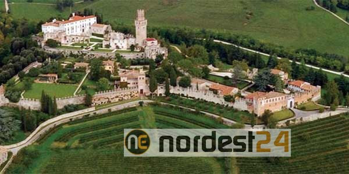 Susegana festival, da venerdi' 4 ottobre "libri in cantina" 2019 - 