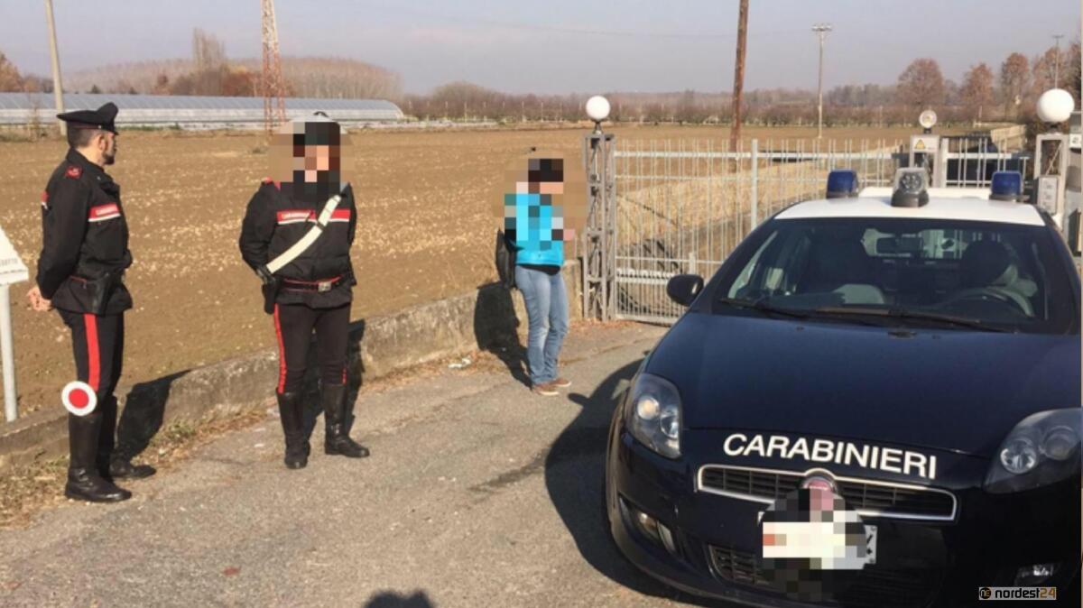 Brugnera (Pn), sbranato da due cani: morto un uomo, grave la moglie - 