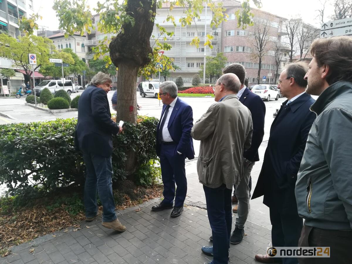 Borgo stazione, Fontanini: "pulizia siepi e aumento punti luce per aumentare sicurezza e controllo" - 