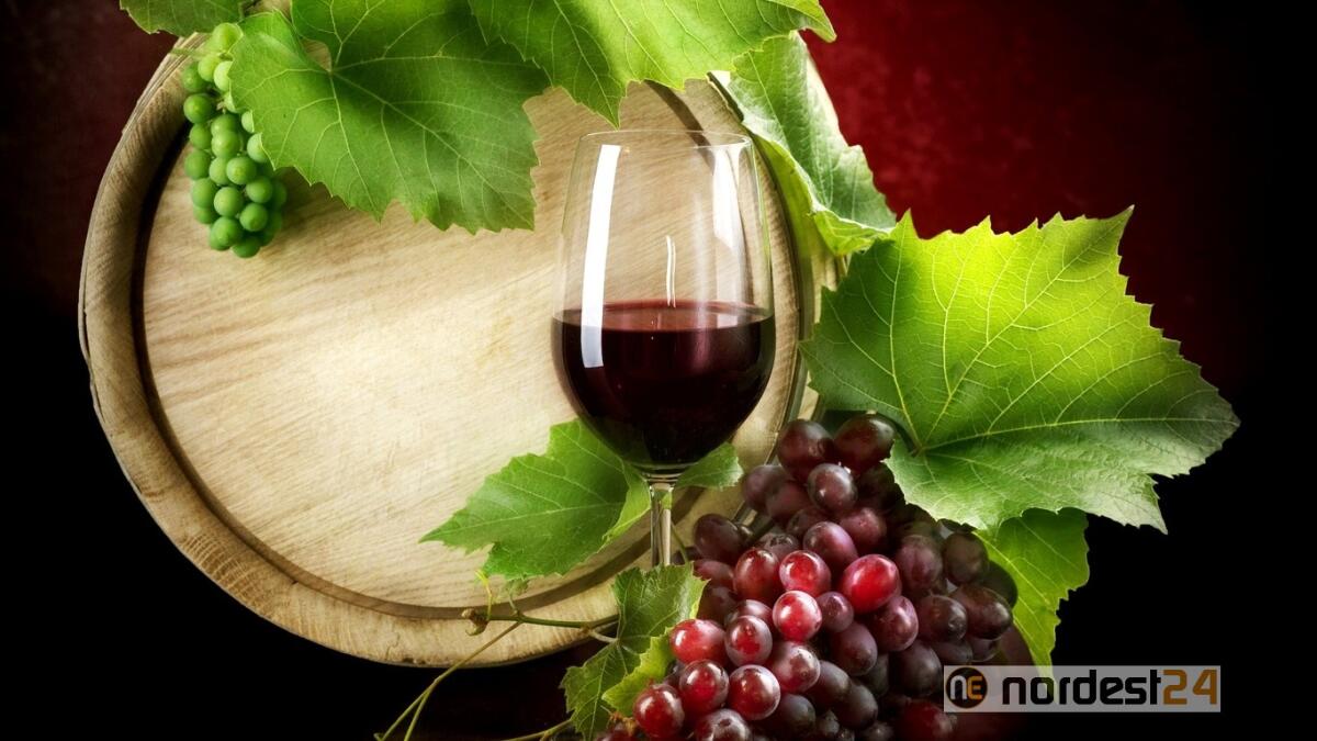 In un volume la storia della vite e del vino in Friuli e a Trieste - 