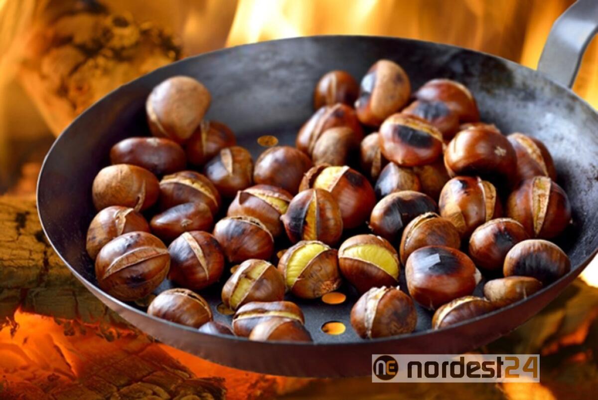 Latisana. Bar organizza una castagnata solidale e raccoglie 2.000 euro - 