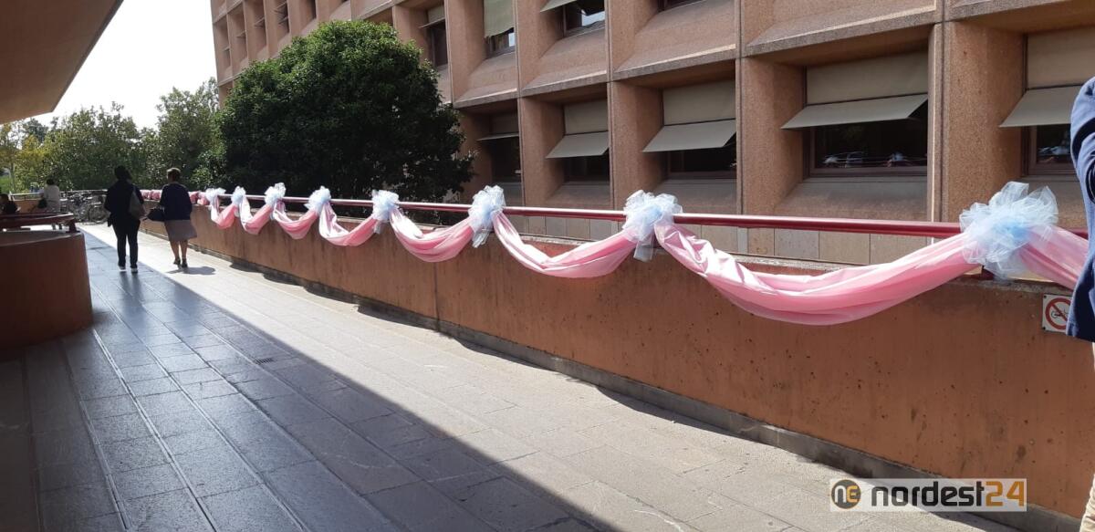 Andos Udine, 11 e 12 ottobre, doppia iniziativa con l'Unci Udine - 